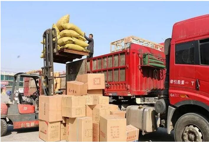 漳州到金山区物流专线